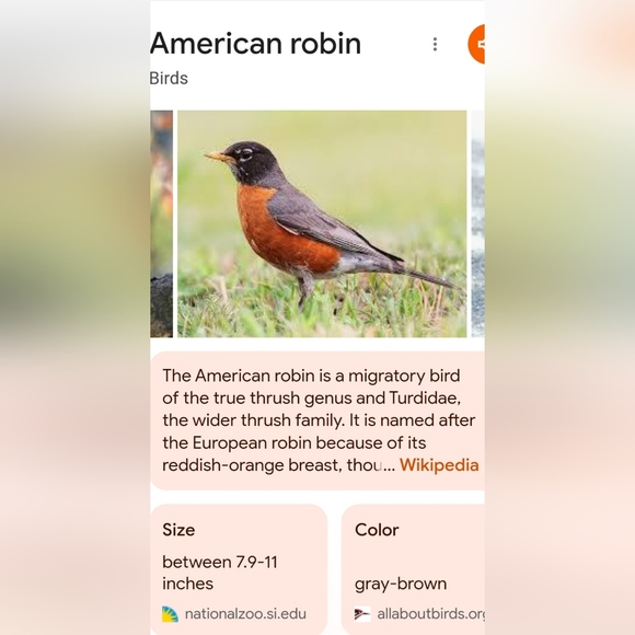 One of a kind wood carving by Barbara Remington Johnson - Picture 13 of 14